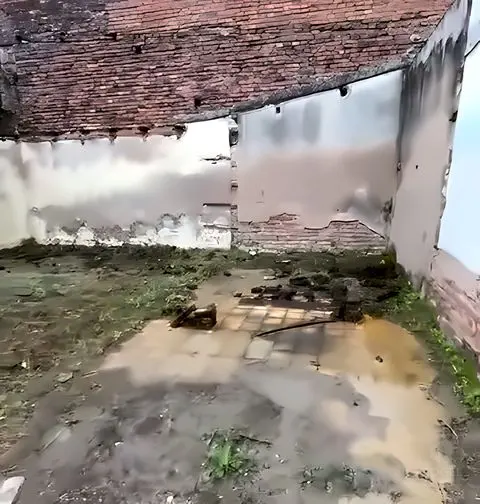 Terreno de 8 x 28 m, San Juan al 1400, foto 4