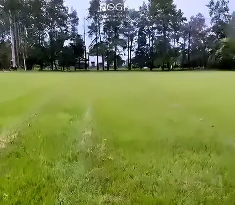 Terrenos de 5.000 m² en Club de Campo Las Moritas, foto 3