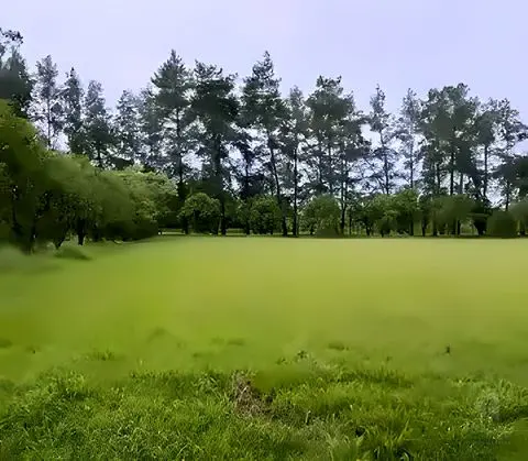 Terrenos de 5.000 m² en Club de Campo Las Moritas, foto 4