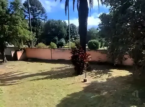 Parque con palmera